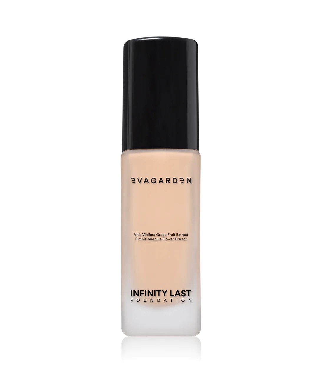 EVAGARDEN INFINITY LAST FOUNDATION skysta pudra